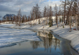 Unexpectedly rainy May predicted in Taimyr