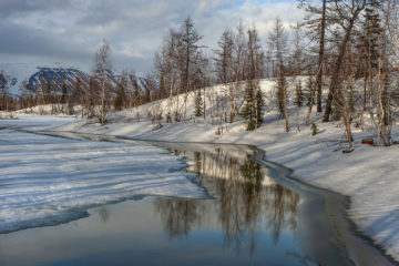 Unexpectedly rainy May predicted in Taimyr