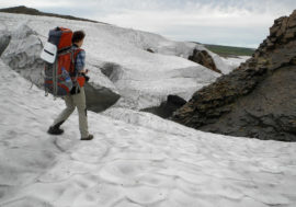 Every hundredth Russian wants to see Arctic