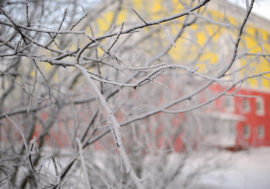 Permafrost brought together leading Russian scientists in Norilsk