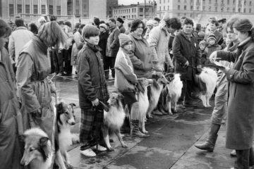 In 1970s first dog shows were held in Norilsk