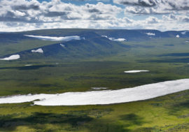 Taimyr tundra changes color to brown