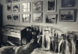 Norilsk Museum originated as closed geological collection
