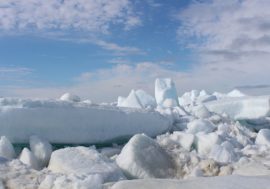Russian scientists to study Arctic microorganisms