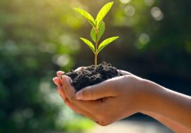 Potanin Foundation announces new open competition