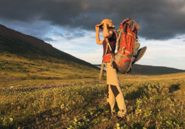 New tours to Taimyr to be launched