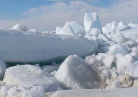 Global observation base tracks carbon fluxes in Arctic