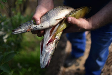 Fishing camp to be built near Hatanga