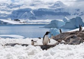 How does North Pole differ from South Pole?