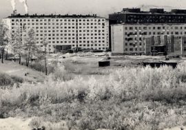 He went from convict to Norilsk Combine’s deputy director