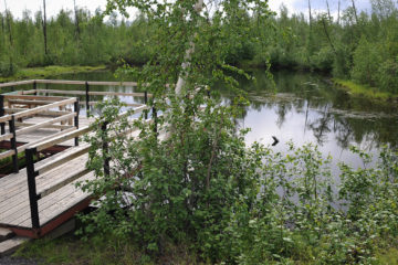 Taimyr water bodies biodiversity to be restored