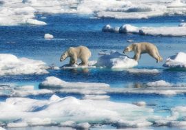 Scientists to conduct unique research on Northern Sea Route
