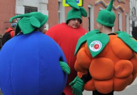 Berry festival in Norilsk dedicated to healthy lifestyle