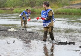 Everyone can keep Arctic clean