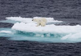 Newfound current accelerates Arctic melting