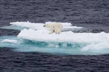 Newfound current accelerates Arctic melting