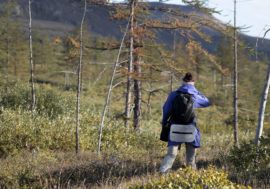 Scientists collected material for film about Taimyr