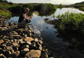 Taimyr tourists help collect valuable information