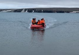 Researchers made new discoveries in Arctic