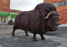 Musk ox sculpture installed at Taimyr Reserves building