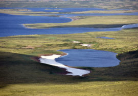 Arctic lakes dry up due to climate change
