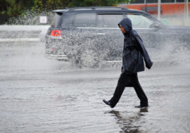 Black Swans and Dragons explain extreme precipitation in Arctic