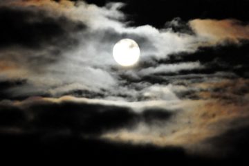 Rare lunar eclipse to be seen in early November