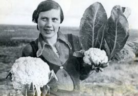 Cabbage took root in Arctic best