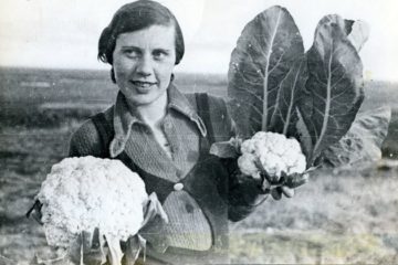 Cabbage took root in Arctic best
