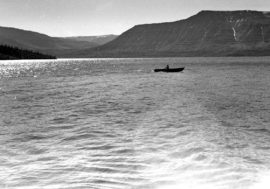 Scientists estimate Taimyr lake Lama age at 100 million years
