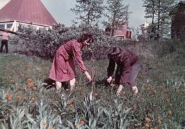 Camp sites are Norilsk special phenomenon