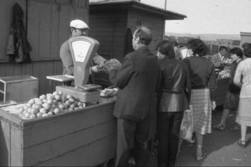 65 years ago town market opened on Monchegorskaya street