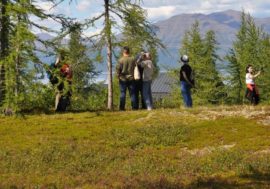 Every tenth investor in Arctic invests in tourism