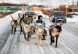 Big Argish-2022 to show Taimyr villages