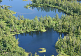 Taimyr belongs to areas with excessive moisture