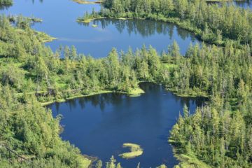 Taimyr belongs to areas with excessive moisture