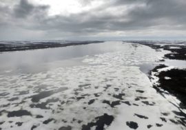 Geological studies to be conducted in Yenisey gulf