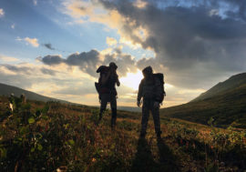 Tourists invited to see Taimyr beauties