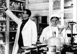 Coniferous kvass saved people from scurvy in 1940s