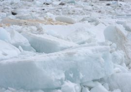 Scientists measure sea ice melting rate in Arctic