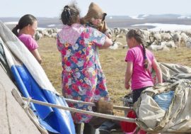Taimyr entered region’s highest birth districts top five