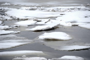 Scientists discovered carbon conveyor phenomenon in Arctic seas