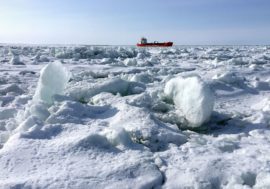 Phytoplankton helps cool planet