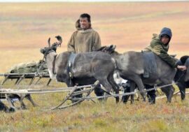 Who gave name to Taimyr?