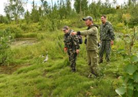 Scientists found unique Ice Age ecosystem near Norilsk