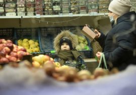 Russian scientists breed arctic apricots