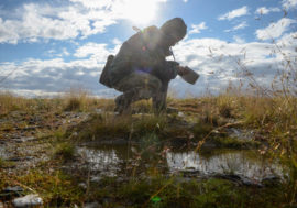 Oil absorbing bacteria multiply at diesel spill site