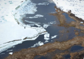 Green Snowflake to appear in Arctic