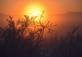 Norilsk residents met first sun after polar night at Heiro festival