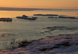 Bacteria and ultraviolet light to clean ocean